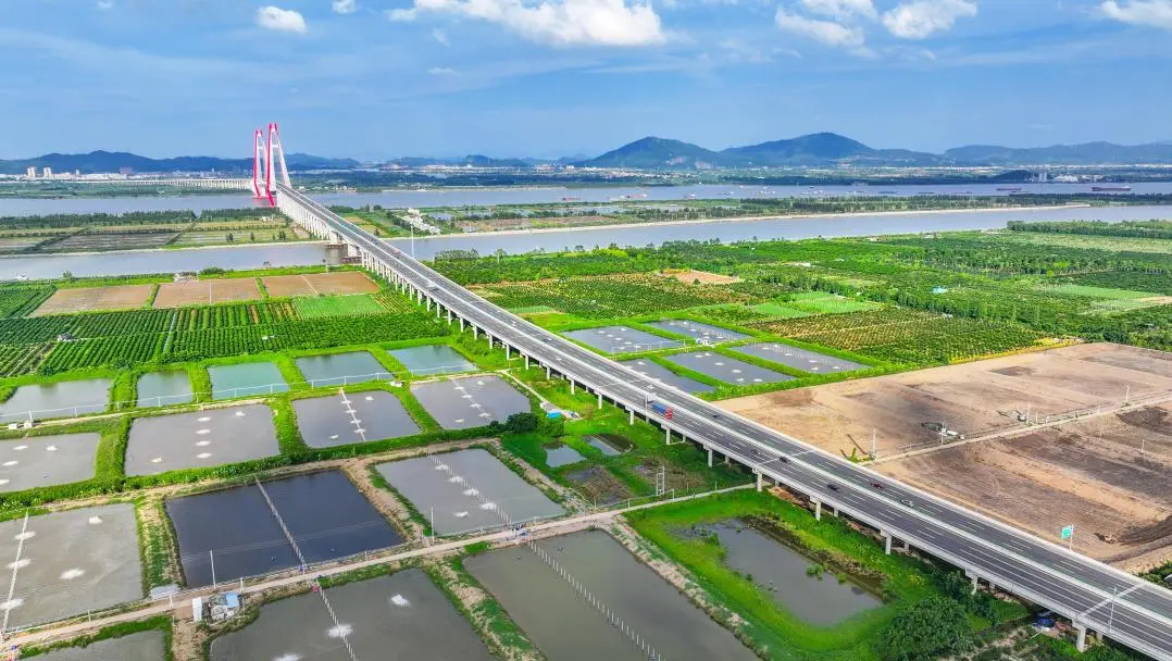 1763966550181536ZavV.png 圖片 6.png